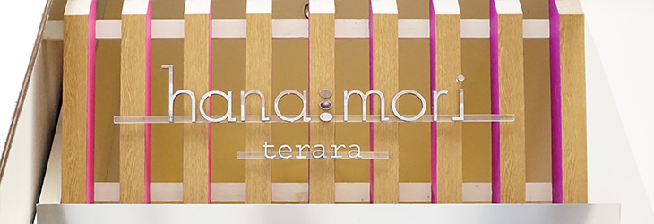 hanamori terara